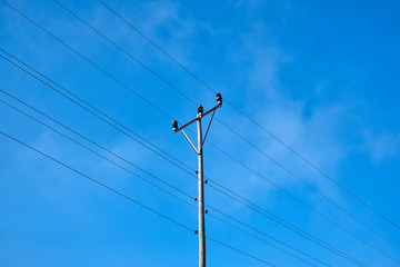 Electric pole and wires, wood electricty pole and cloudy blue sky
