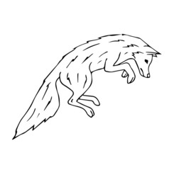 Vector hand drawn doodle sketch fox jumping isolated on white background