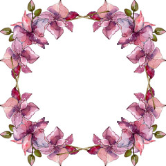 Fototapeta na wymiar Orchid floral botanical flowers. Watercolor background illustration set. Frame border ornament square.