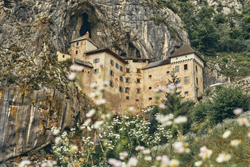 image of Predjamski castle with flowers in the foreground