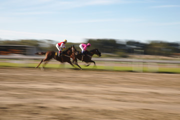 Fototapeta premium MariusBrandão