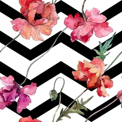 Photo sur Plexiglas Coquelicots Fleur botanique florale de pavot. Ensemble d& 39 illustrations de fond aquarelle. Motif de fond sans couture.