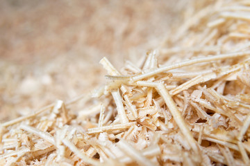 Sawdust or wood dust texture background, Sawdust close up