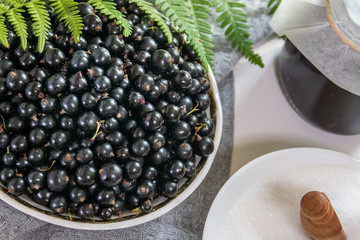 Black Currant Jam close-up. Blackcurrant berries in a bowl on the kitchen