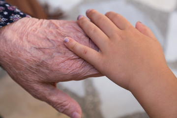 child hands on the old woman wrinkled ,celebrate the victim feast of the elders on the religious feast.happy mother and teachers day.kiss the mum hand.