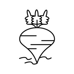 Obraz premium Beetroot icon for your project