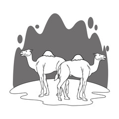Two camels in desert scenery cartoon in black and white