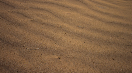 simple background of dirty textured wavy desert sand surface with small wooden sticks and other things 
