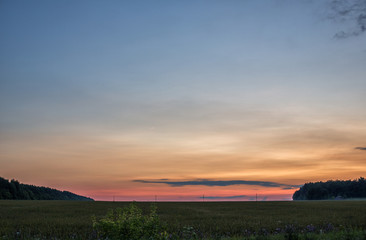 Pink sunset in the village. Foggy