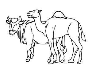 Cow and camel animals cartoon isolated in black and white