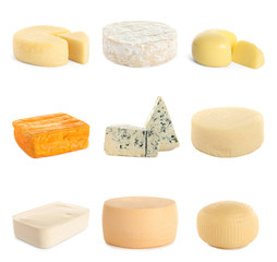 Set of different delicious cheeses on white background
