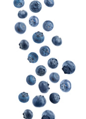 Many falling fresh blueberries on white background