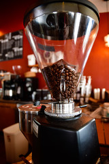 galveston island texas travel summer 2019