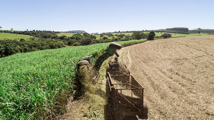 Sugar cane harvest in sunny day in Brazil. Aerial view.