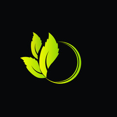 leaf logo icon or ornament