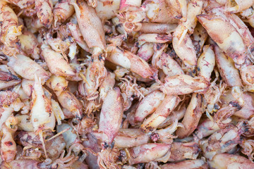 Dried Squid at street food market in thailand