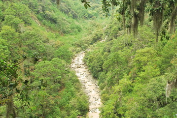 Fototapeta na wymiar Río y paisaje verde