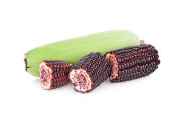 uncooked sweet purple corn on white background