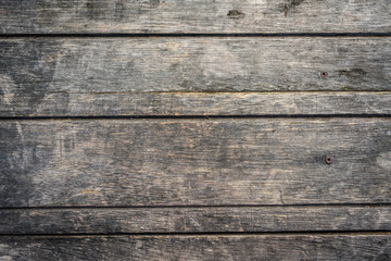 Fototapeta premium Wood Texture Background