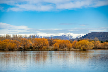 autumn landscape with lake