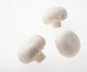 マッシュルーム