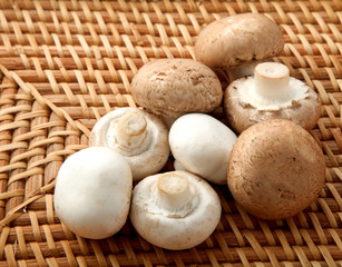 マッシュルーム