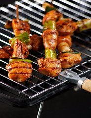 Asian Barbecue. Chicken - Studio