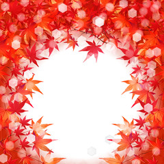 紅葉　もみじ　葉　背景 