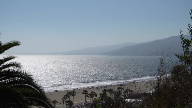View through the trees to the ocean shore. Santa Monica beach. People bathe. Sailboat sailing on the waves. Warm summer in Los Angeles, California, USA