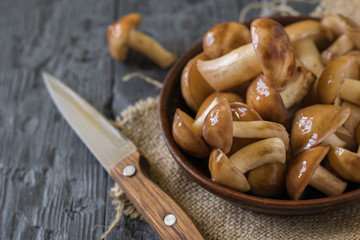 A knife with a wooden handle and a bowl of mushrooms on a piece of burlap.