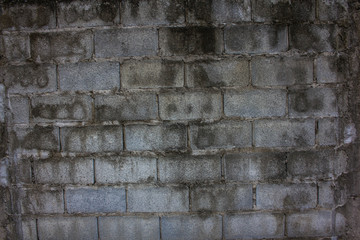 wall background plaster plastering wallpaper