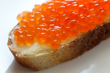 Appetizing red caviar sandwich with butter on a white plate. Close up food photography. Restaurant menu template. Cookbook seafood picture