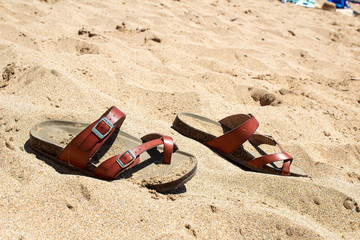Summertime Beach Vacation in Maui, Hawaii