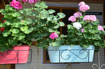 Fototapeta na wymiar Beautiful street decorated with flowers. coloful flower in rectangle pot brown