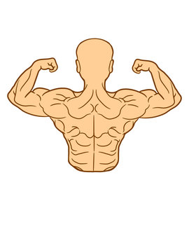 glatze h&uuml;bsch muskeln muckis k&ouml;rper kr&auml;ftig kraft bodybuilder stark von hinten sexy sch&ouml;n fitness pumpen posen r&uuml;cken mann kerl m&auml;nnlich training clipart comic cartoon design