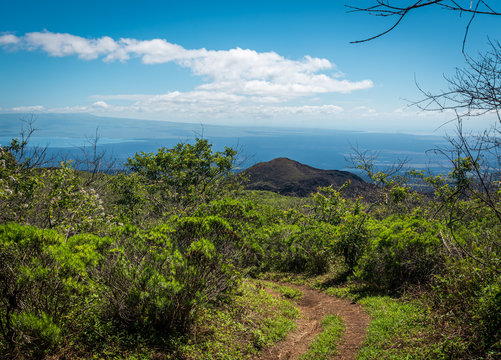 Highlands Of Santa Cruz Island In Galapagos