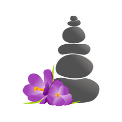 Rock balance and Flower