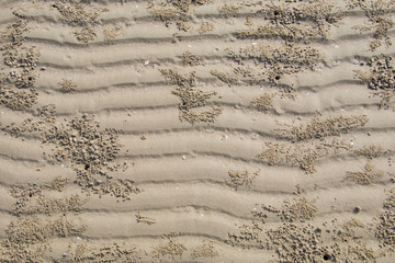 Beautiful natural zigzag sand wave with crab hole background, holiday and traveling concept