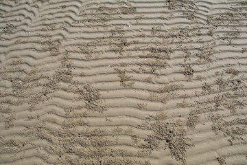 Beautiful natural zigzag sand wave with crab hole background, holiday and traveling concept