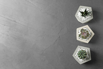 Beautiful succulent plants in stylish flowerpots on grey background, flat lay with space for text. Home decor