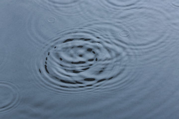Rain drops falling down into puddle outdoors