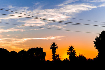 Colorful sunset with silhouettes of trees