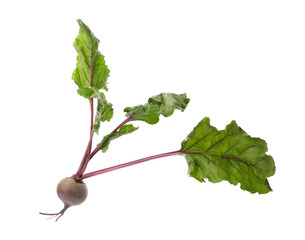 Fresh beet with leaves on white background