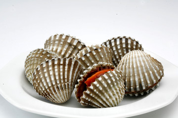 Thai Seafood. Hoy Kraen - Studio