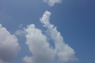 夏の雲