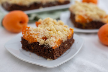 Delicious home made chocolate apricot cake with sweet streusel on a table