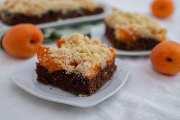 Delicious home made chocolate apricot cake with sweet streusel on a table