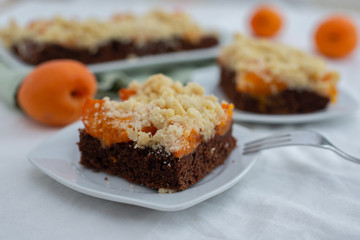 Delicious home made chocolate apricot cake with sweet streusel on a table