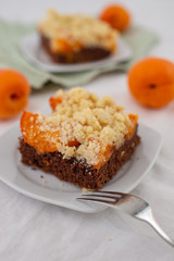 Delicious home made chocolate apricot cake with sweet streusel on a table