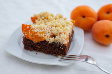 Delicious home made chocolate apricot cake with sweet streusel on a table